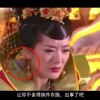 words官方下载免费版